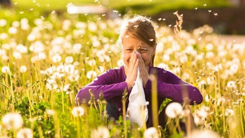 Alergias, un problema con la llegada de la primavera