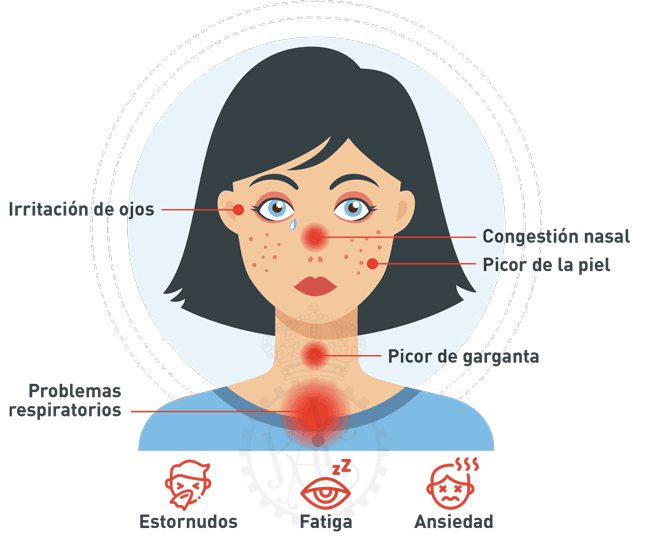 Alergia primaveral síntomas y tratamientos - Kineplanet
