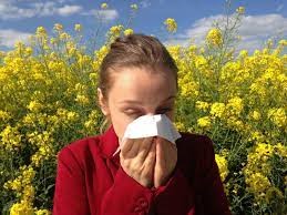 Medidas para aliviar los sintomas de las alergias primavera - kineplanet