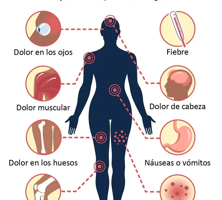 Algunos datos sobre el Dengue - kineplanet