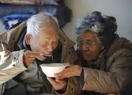 Nutrición en Invierno para Adultos Mayores Consejos y Beneficios para una Vida Saludable - Kineplanet Nutrición en Invierno para Adultos Mayores Consejos y Beneficios para una Vida Saludable - Kineplanet