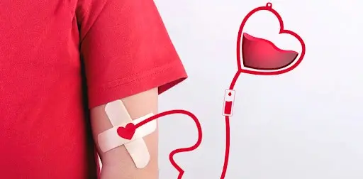 Donar sangre en Chile - Kineplanet