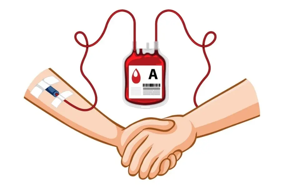 Importancia de la donacion de sangre - kineplanet